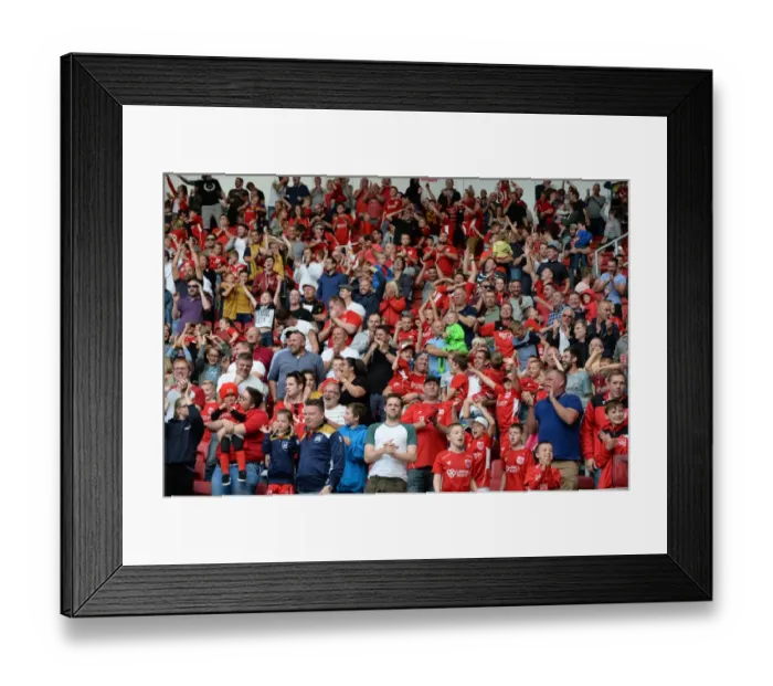 Framed Print : Bristol City Celebrate Late Equalizer Against Derby County
