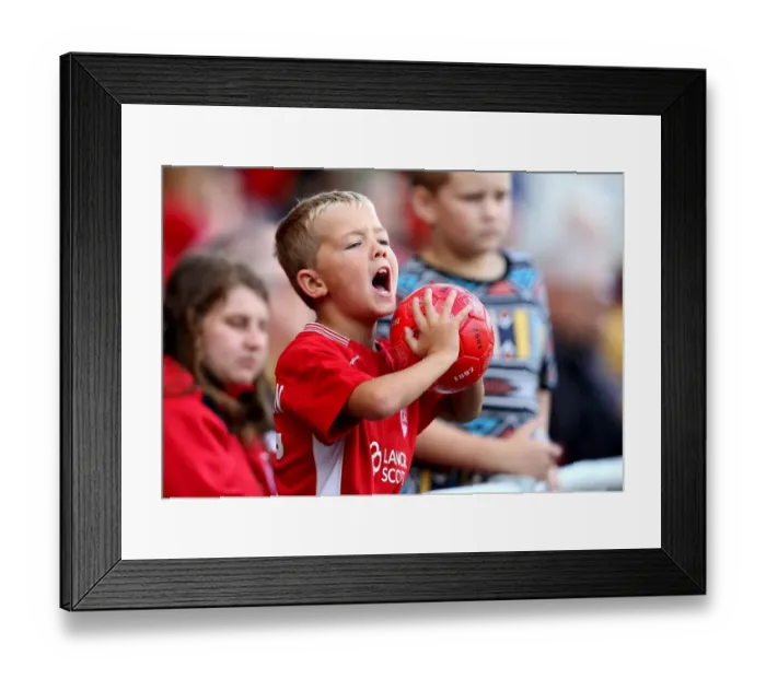 Framed Print : Bristol City Fan's Passion: Cheering on the Team at Ashton Gate Stadium Framed Print : Bristol City Fan's Passion: Cheering on the Team at Ashton Gate Stadium