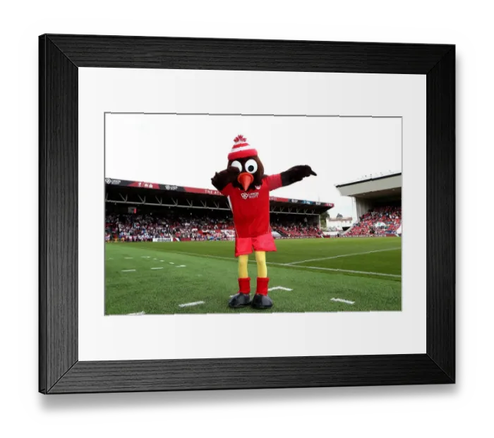 Framed Print : Bristol City vs Derby County: Robin Mascot at Ashton Gate Stadium Framed Print : Bristol City vs Derby County: Robin Mascot at Ashton Gate Stadium
