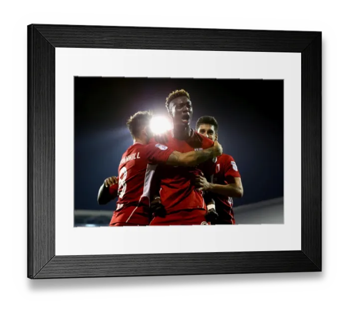 Framed Print : Tammy Abraham Scores the Thrilling Winning Goal for Bristol City Against Fulham in the EFL Cup Framed Print : Tammy Abraham Scores the Thrilling Winning Goal for Bristol City Against Fulham in the EFL Cup