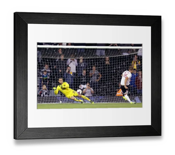 Framed Print : Bristol City's Ivan Lucic Saves Cauley Woodrow's Penalty at Fulham's Craven Cottage (EFL Cup 2016) Framed Print : Bristol City's Ivan Lucic Saves Cauley Woodrow's Penalty at Fulham's Craven Cottage (EFL Cup 2016)