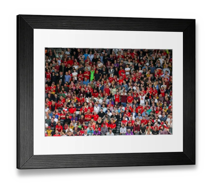 Framed Print : Bristol City Fans at Craven Cottage: Fulham vs. Bristol City, Sky Bet EFL Championship (2016) Framed Print : Bristol City Fans at Craven Cottage: Fulham vs. Bristol City, Sky Bet EFL Championship (2016)