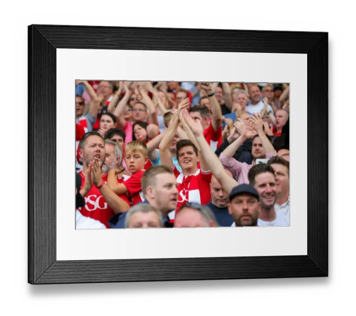 Framed Print : Bristol City's 0-4 Victory Celebration: Fulham vs. Bristol City, Sky Bet EFL Championship (Craven Cottage Stadium, London, England, 2016) Framed Print : Bristol City's 0-4 Victory Celebration: Fulham vs. Bristol City, Sky Bet EFL Championship (Craven Cottage Stadium, London, England, 2016)