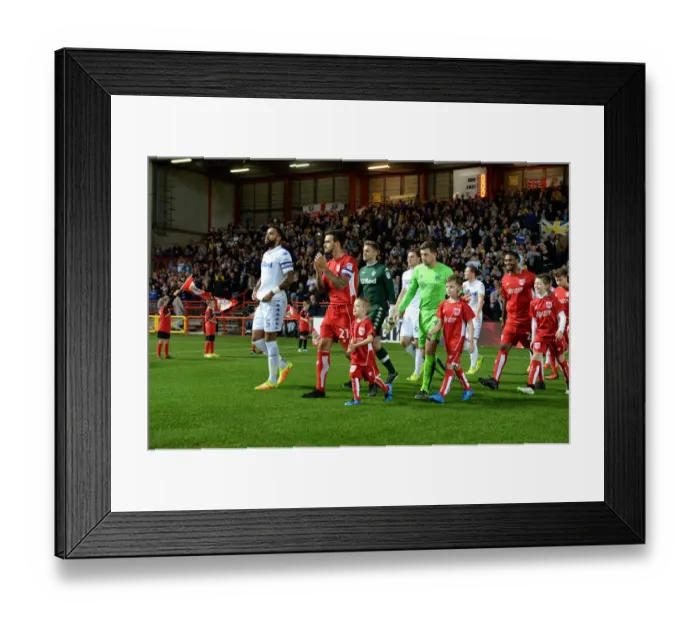 Framed Print : Mascots Leading the Way: Bristol City vs Leeds United at Ashton Gate Stadium