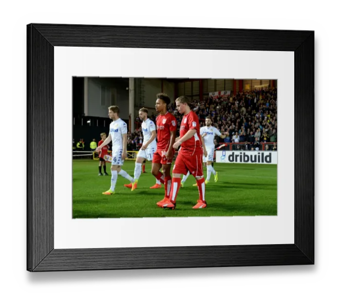 Framed Print : Bristol City vs Leeds United: Mascots Lead the Way at Ashton Gate Stadium Framed Print : Bristol City vs Leeds United: Mascots Lead the Way at Ashton Gate Stadium