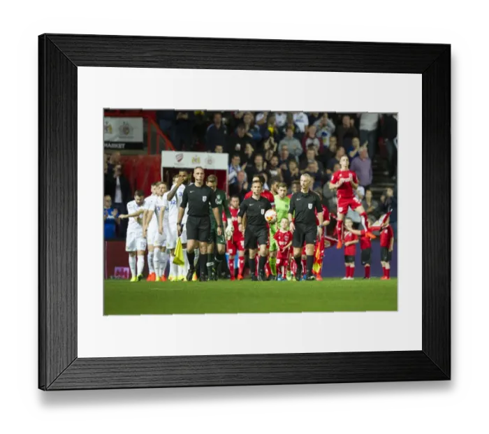 Framed Print : Bristol City vs Leeds United: Players Take the Field at Ashton Gate Stadium, 2016 Framed Print : Bristol City vs Leeds United: Players Take the Field at Ashton Gate Stadium, 2016