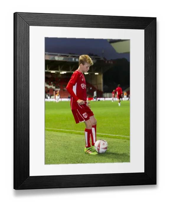 Framed Print : Sky Bet Championship Showdown: Bristol City vs Leeds United at Ashton Gate Stadium (September 2016)