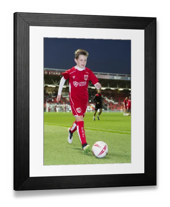 Framed Print : Bristol City vs Leeds United Clash at Ashton Gate Stadium, Sky Bet Championship (September 2016) Framed Print : Bristol City vs Leeds United Clash at Ashton Gate Stadium, Sky Bet Championship (September 2016)