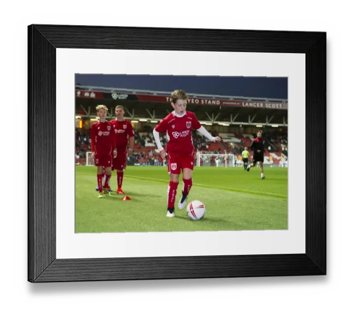 Framed Print : Bristol City vs Leeds United: A Thrilling Sky Bet Championship Clash at Ashton Gate Stadium (September 2016) Framed Print : Bristol City vs Leeds United: A Thrilling Sky Bet Championship Clash at Ashton Gate Stadium (September 2016)