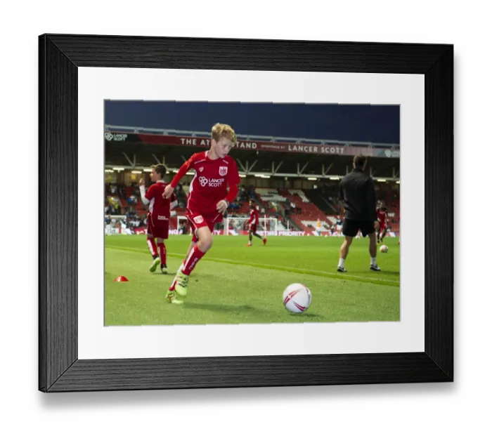 Framed Print : Thrilling Sky Bet Championship Showdown: Bristol City vs Leeds United at Ashton Gate Stadium (September 2016) Framed Print : Thrilling Sky Bet Championship Showdown: Bristol City vs Leeds United at Ashton Gate Stadium (September 2016)