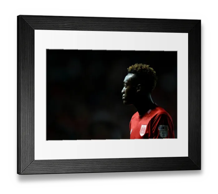 Framed Print : Bristol City vs Leeds United: Tammy Abraham in Action at Ashton Gate Stadium (September 2016) Framed Print : Bristol City vs Leeds United: Tammy Abraham in Action at Ashton Gate Stadium (September 2016)