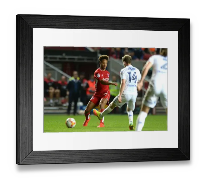Framed Print : Bobby Reid in Action: Bristol City vs Leeds United, Sky Bet Championship, Ashton Gate Stadium, 2016