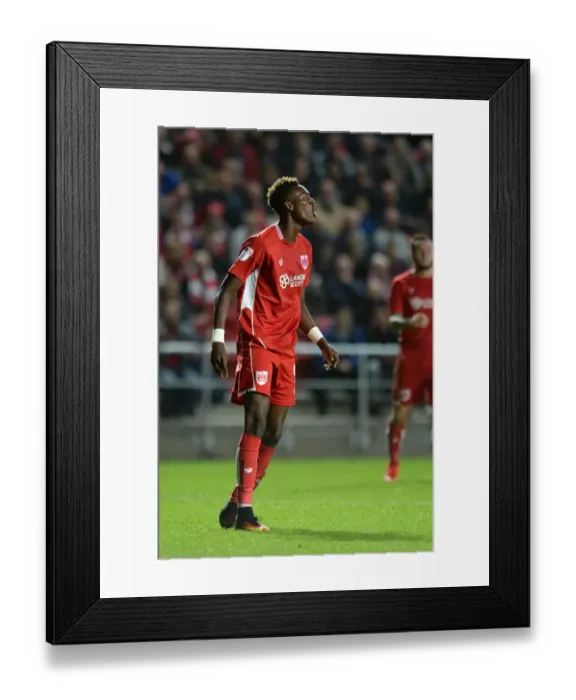 Framed Print : Tammy Abraham's Near Miss: Bristol City vs Leeds United, 2016 Framed Print : Tammy Abraham's Near Miss: Bristol City vs Leeds United, 2016