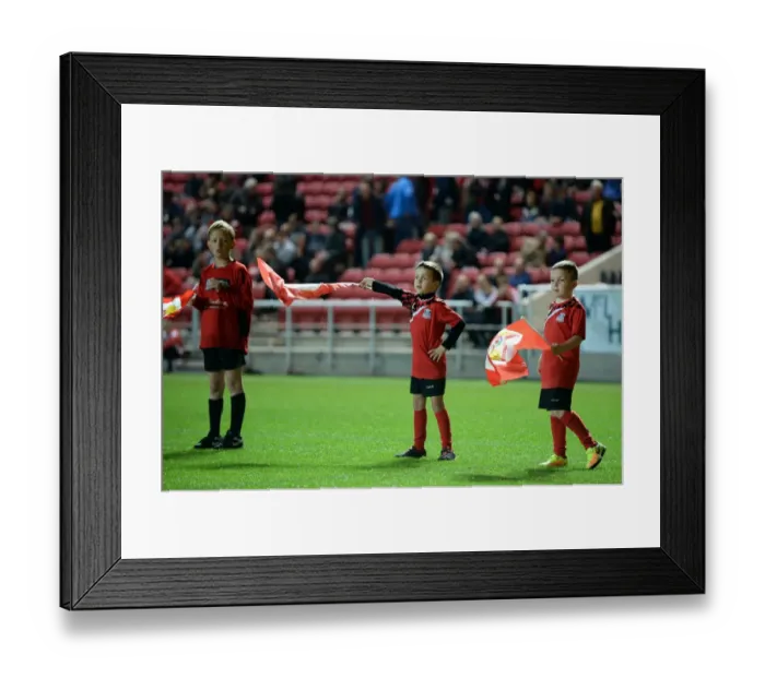 Framed Print : Bristol City vs Leeds United Clash at Ashton Gate Stadium, Sky Bet Championship (September 2016)