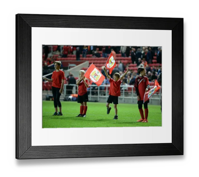Framed Print : Bristol City vs Leeds United Clash at Ashton Gate Stadium, Sky Bet Championship (September 2016)