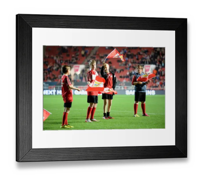 Framed Print : Bristol City vs Leeds United: Clash at Ashton Gate Stadium, Sky Bet Championship (September 2016) Framed Print : Bristol City vs Leeds United: Clash at Ashton Gate Stadium, Sky Bet Championship (September 2016)