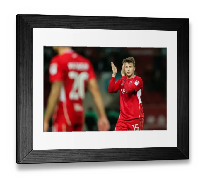 Framed Print : Bristol City Celebrate 1-0 Win Over Leeds United, Ashton Gate Stadium, 2016 Framed Print : Bristol City Celebrate 1-0 Win Over Leeds United, Ashton Gate Stadium, 2016