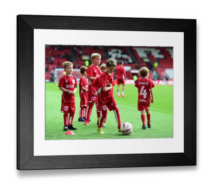 Framed Print : Bristol City vs. Nottingham Forest Clash: Football Mascots in Action at Ashton Gate Stadium, Sky Bet Championship (October 2016) Framed Print : Bristol City vs. Nottingham Forest Clash: Football Mascots in Action at Ashton Gate Stadium, Sky Bet Championship (October 2016)