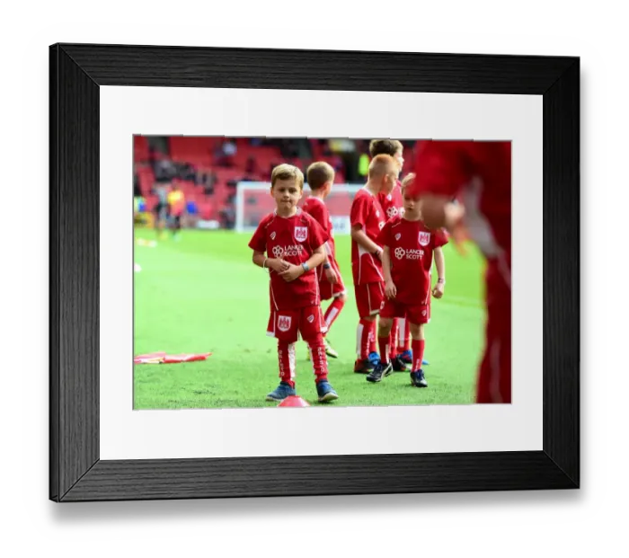 Framed Print : Mascot - Mandatory by-line: Joe Meredith / JMP - 01 / 10 / 2016 - FOOTBALL - Ashton Gate Stadium - Bristol Framed Print : Mascot - Mandatory by-line: Joe Meredith / JMP - 01 / 10 / 2016 - FOOTBALL - Ashton Gate Stadium - Bristol
