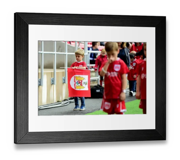 Framed Print : Bristol City vs. Nottingham Forest Clash at Ashton Gate Stadium, Sky Bet Championship Football Match (October 2016)