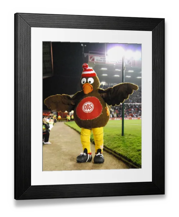 Framed Print : Bristol City vs Birmingham City: A Football Rivalry - Season 08-09