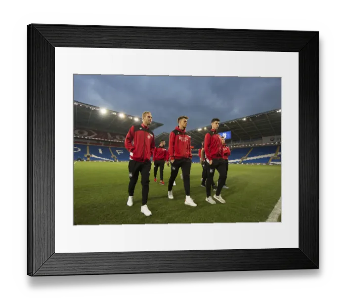 Framed Print : Bristol City Players Protest: Mass Walkoff During Cardiff City vs. Bristol City Match, October 14, 2016 Framed Print : Bristol City Players Protest: Mass Walkoff During Cardiff City vs. Bristol City Match, October 14, 2016