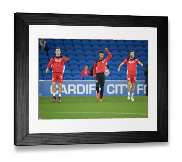 Framed Print : Cardiff City vs. Bristol City Clash at Cardiff Stadium, Sky Bet Championship (14 / 10 / 2016)