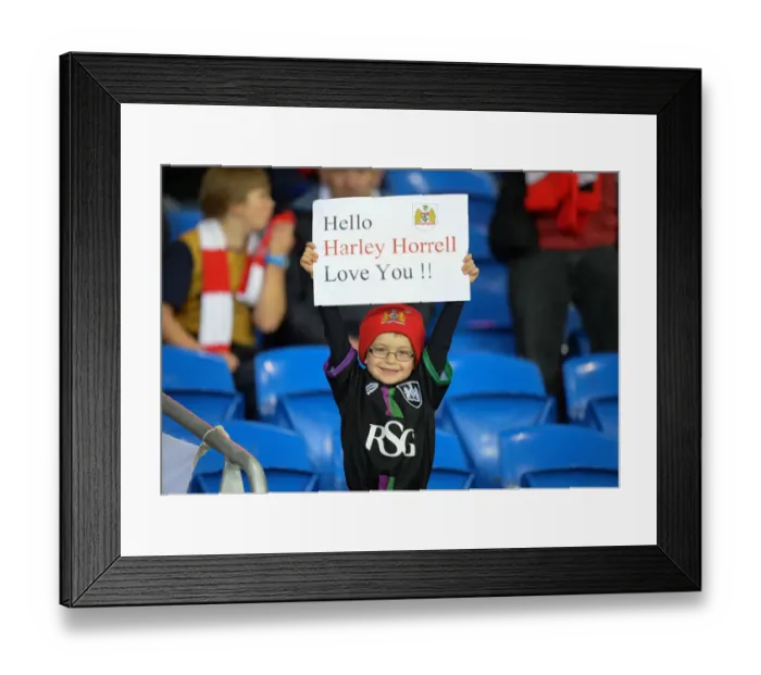 Framed Print : Bristol City Fans Cheering Loudly at Cardiff City Stadium, October 2016 Framed Print : Bristol City Fans Cheering Loudly at Cardiff City Stadium, October 2016