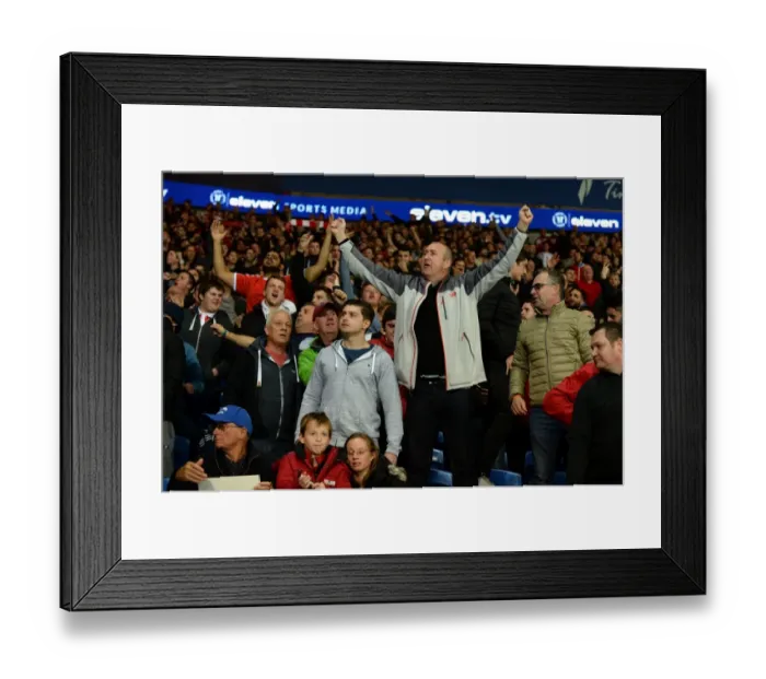 Framed Print : Bristol City Fans Celebrate at Cardiff City Stadium, Sky Bet Championship 2016