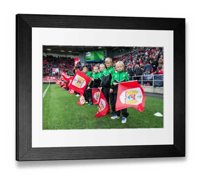Framed Print : Flag Bearers Clash: Bristol City vs Blackburn Rovers in Sky Bet EFL Championship (October 2016), Ashton Gate Stadium Framed Print : Flag Bearers Clash: Bristol City vs Blackburn Rovers in Sky Bet EFL Championship (October 2016), Ashton Gate Stadium