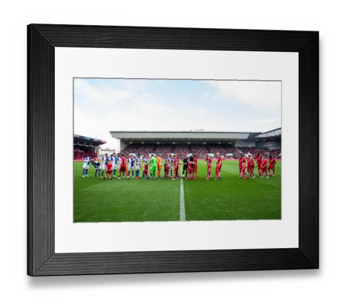 Framed Print : Mascots Face Off: Bristol City vs. Blackburn Rovers in Championship Showdown Framed Print : Mascots Face Off: Bristol City vs. Blackburn Rovers in Championship Showdown