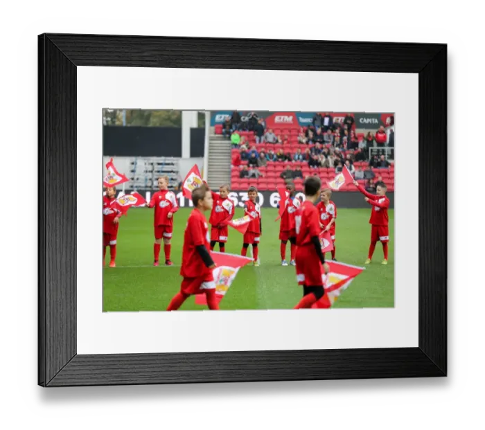 Framed Print : Flag Bearers Clash: Bristol City vs Blackburn Rovers at Ashton Gate Stadium, Sky Bet EFL Championship (2016) Framed Print : Flag Bearers Clash: Bristol City vs Blackburn Rovers at Ashton Gate Stadium, Sky Bet EFL Championship (2016)