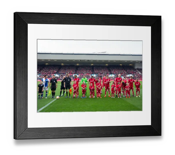 Framed Print : Mascots of Bristol City and Blackburn Rovers Line Up Ahead of Championship Clash at Ashton Gate Stadium Framed Print : Mascots of Bristol City and Blackburn Rovers Line Up Ahead of Championship Clash at Ashton Gate Stadium