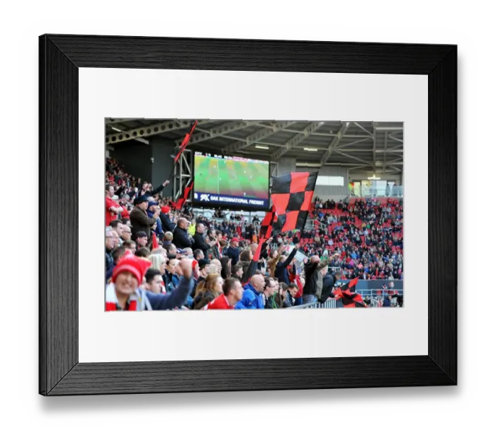 Framed Print : Bristol City Celebrate 1-0 Lead Over Blackburn Rovers at Ashton Gate Stadium