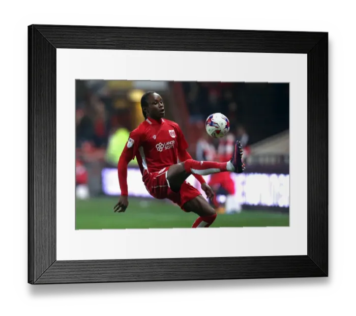 Framed Print : Bristol City's McCoulsky in Control: The EFL Cup Clash Against Hull City at Ashton Gate Framed Print : Bristol City's McCoulsky in Control: The EFL Cup Clash Against Hull City at Ashton Gate