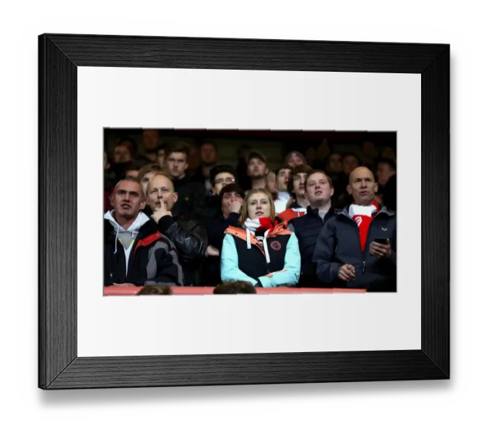Framed Print : Bristol City vs Hull City: Passionate Fans at Ashton Gate, 2016 Framed Print : Bristol City vs Hull City: Passionate Fans at Ashton Gate, 2016