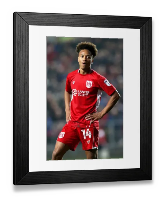 Framed Print : Bobby Reid in Action: Bristol City vs Hull City, 25th October 2016, Ashton Gate