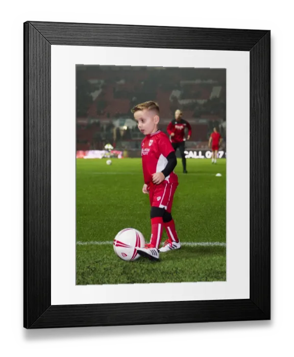 Framed Print : Bristol City vs Hull City: EFL Cup Showdown at Ashton Gate Stadium - October 2016