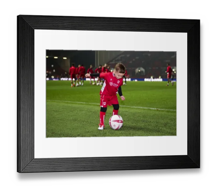 Framed Print : Bristol City vs Hull City: EFL Cup Showdown at Ashton Gate Stadium - October 2016