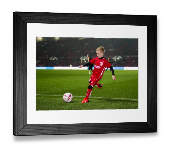 Framed Print : Bristol City vs Hull City: EFL Cup Showdown at Ashton Gate Stadium - October 2016