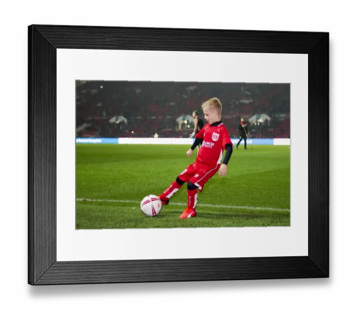 Framed Print : Bristol City vs Hull City: EFL Cup Showdown at Ashton Gate Stadium - October 2016 Framed Print : Bristol City vs Hull City: EFL Cup Showdown at Ashton Gate Stadium - October 2016