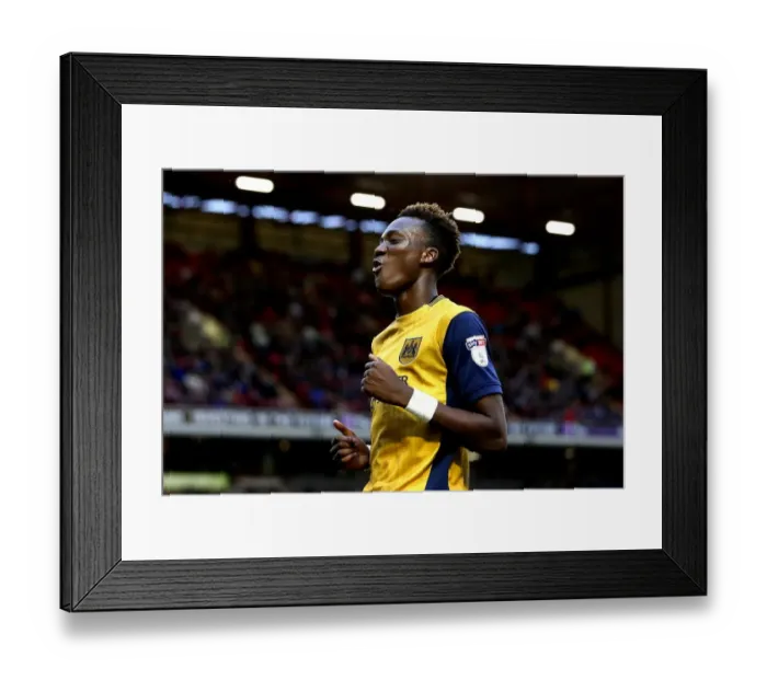 Framed Print : Tammy Abraham in Action: Championship Clash between Barnsley and Bristol City, October 2016 Framed Print : Tammy Abraham in Action: Championship Clash between Barnsley and Bristol City, October 2016