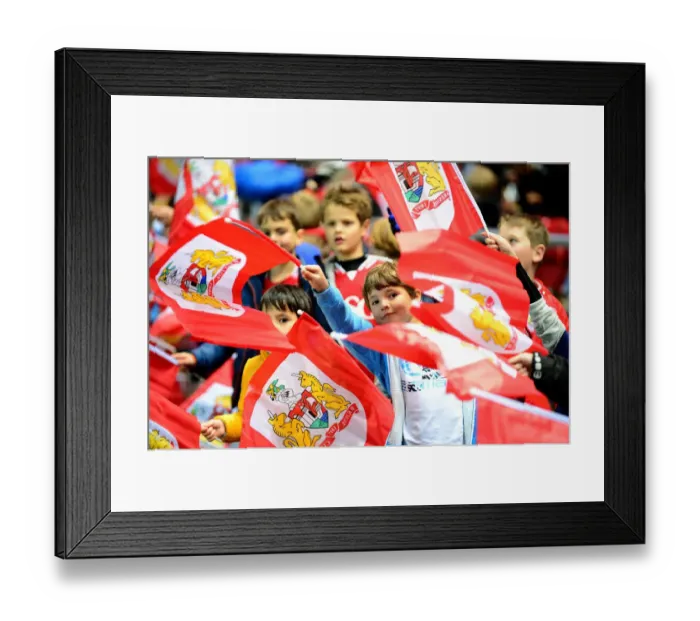 Framed Print : Flagbearers Clash: Bristol City vs Brighton and Hove Albion, Sky Bet Championship (November 2016) Framed Print : Flagbearers Clash: Bristol City vs Brighton and Hove Albion, Sky Bet Championship (November 2016)