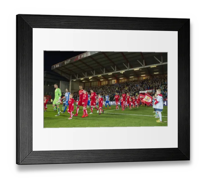 Framed Print : Sky Bet Championship: Bristol City vs Brighton and Hove Albion - Players and Mascots on Ashton Gate Pitch Framed Print : Sky Bet Championship: Bristol City vs Brighton and Hove Albion - Players and Mascots on Ashton Gate Pitch