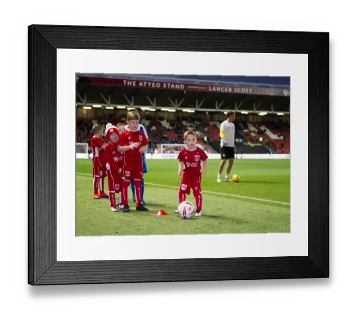 Framed Print : Mascot Clash: Bristol City vs. Brighton and Hove Albion, Sky Bet Championship (05 / 11 / 2016) - Ashton Gate Framed Print : Mascot Clash: Bristol City vs. Brighton and Hove Albion, Sky Bet Championship (05 / 11 / 2016) - Ashton Gate