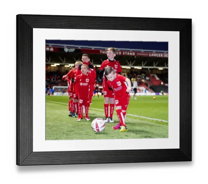 Framed Print : Mascot Clash: Bristol City vs Brighton and Hove Albion, Sky Bet Championship (05 / 11 / 2016)