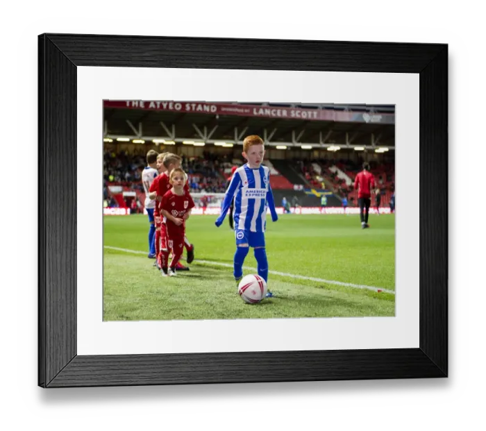 Framed Print : Mascots Face Off: Bristol City vs. Brighton and Hove Albion in Sky Bet Championship Match at Ashton Gate Framed Print : Mascots Face Off: Bristol City vs. Brighton and Hove Albion in Sky Bet Championship Match at Ashton Gate