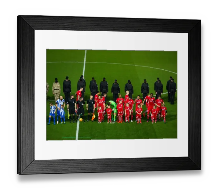 Framed Print : Championship Clash: Bristol City vs Brighton & Hove Albion at Ashton Gate Stadium (November 2016) Framed Print : Championship Clash: Bristol City vs Brighton & Hove Albion at Ashton Gate Stadium (November 2016)