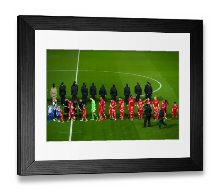 Framed Print : Championship Showdown: Bristol City vs Brighton & Hove Albion at Ashton Gate Stadium (November 2016) Framed Print : Championship Showdown: Bristol City vs Brighton & Hove Albion at Ashton Gate Stadium (November 2016)