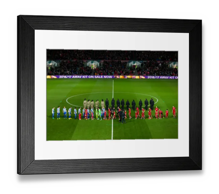 Framed Print : Sky Bet Championship Showdown: Bristol City vs Brighton & Hove Albion at Ashton Gate Stadium (November 2016) Framed Print : Sky Bet Championship Showdown: Bristol City vs Brighton & Hove Albion at Ashton Gate Stadium (November 2016)